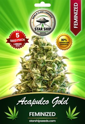 Acapulco Gold Strain Feminized Marijuana Seeds