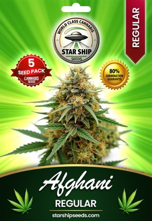 Afghani Strain Regular Marijuana Seeds