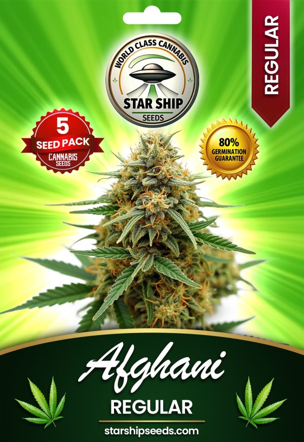 Afghani Strain Regular Marijuana Seeds
