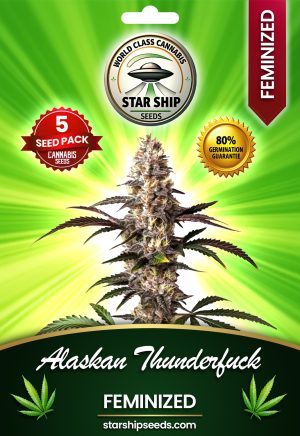 Alaskan Thunder Fuck Feminized Marijuana Seeds