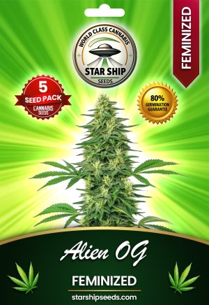 Alien OG Feminized Marijuana Seeds