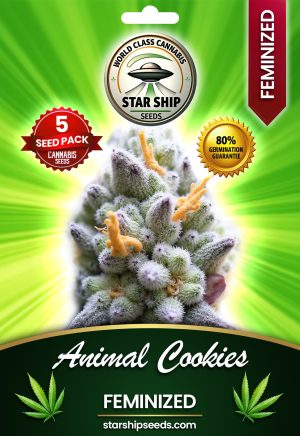 Animal Cookies Feminized Marijuana Seeds