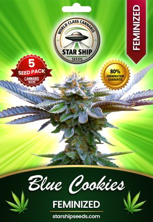 Blue Cookies Strain Feminized Marijuana Seeds