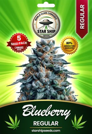 Blueberry Strain Regular Marijuana Seeds