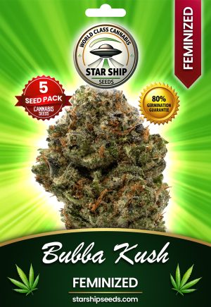 Bubba Kush Strain Feminized Marijuana Seeds