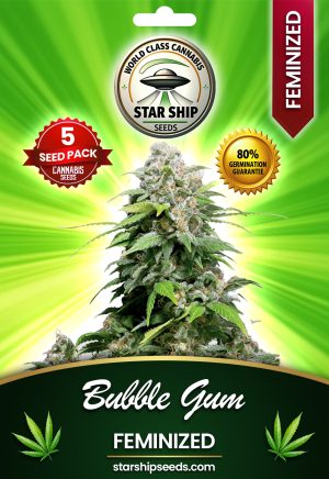 Bubble Gum Strain Feminized Marijuana Seeds