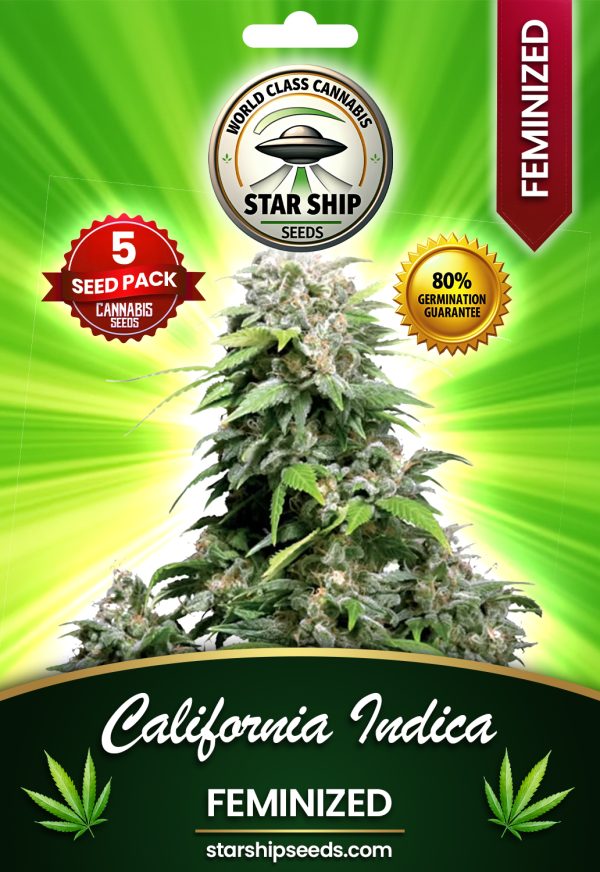 California Indica Feminized Marijuana Seeds