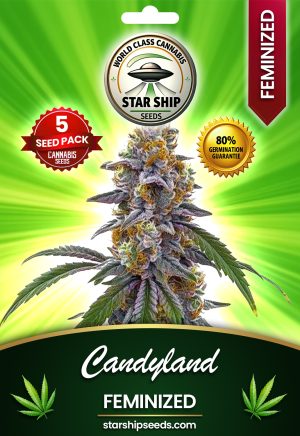 Candyland Feminized Marijuana Seeds