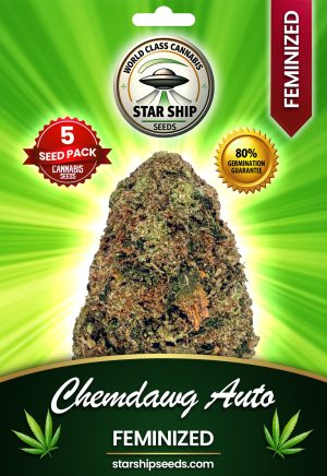 Chemdawg Strain Autoflowering Marijuana Seeds