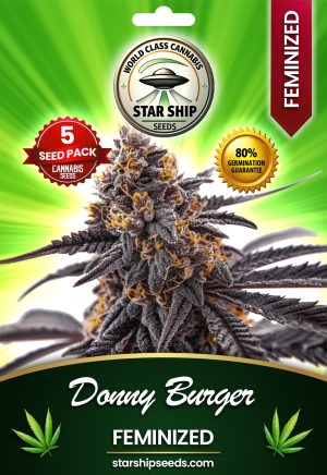 Donny Burger Strain Feminized Marijuana Seeds