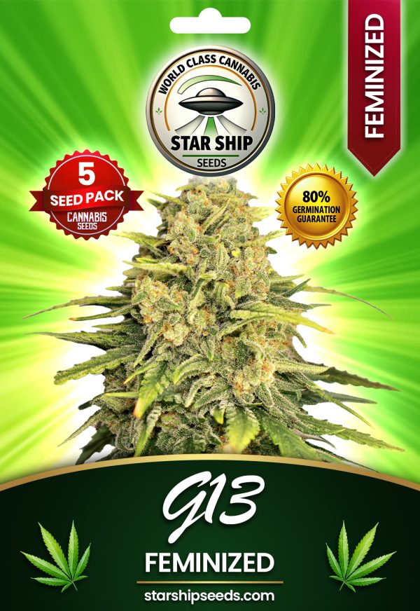 G13 Strain Feminized Marijuana Seeds