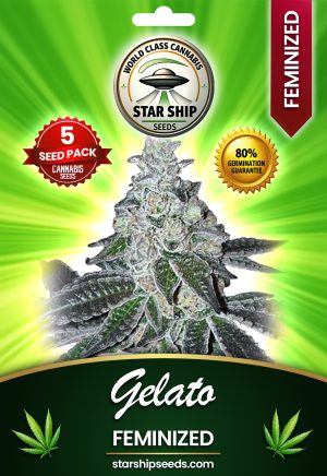 Gelato Feminized Marijuana Seeds