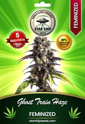 Ghost Train Haze Feminized Marijuana Seeds