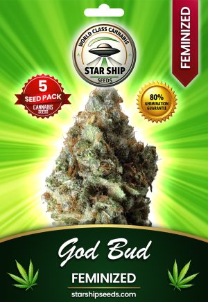 God Bud Strain Feminized Marijuana Seeds