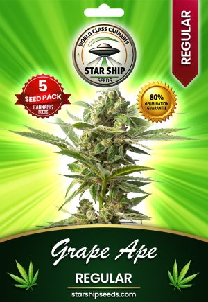 Grape Ape Strain Regular Marijuana Seeds