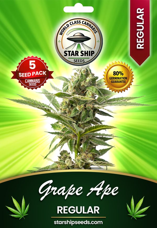 Grape Ape Strain Regular Marijuana Seeds