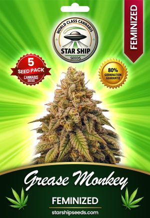 Grease Monkey Feminized Marijuana Seeds