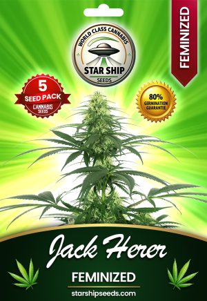 Jack Herer Strain Feminized Marijuana Seeds