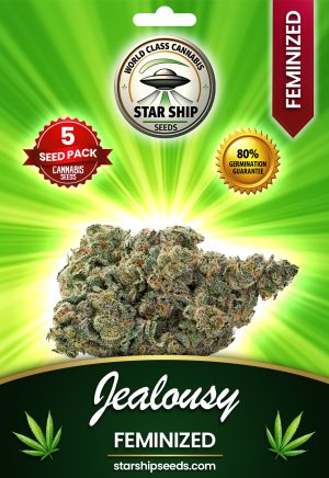 Jealousy Feminized Marijuana Seeds