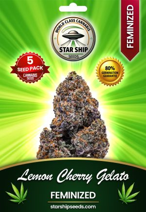 Lemon Cherry Gelato Feminized Marijuana Seeds
