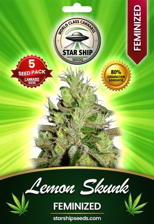 Lemon Skunk Strain Feminized Marijuana Seeds