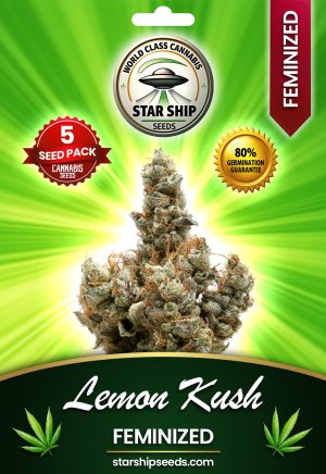 Lemon Kush Feminized Marijuana Seeds