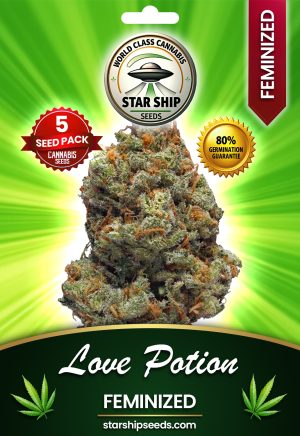 Love Potion Feminized Marijuana Seeds