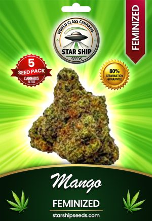 Mango Feminized Marijuana Seeds