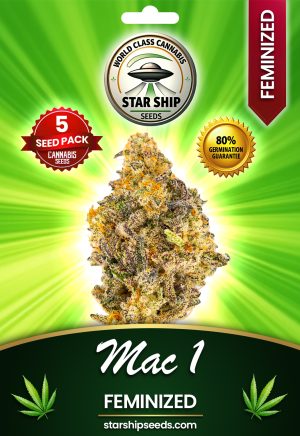 Mac 1 Strain Feminized Marijuana Seeds