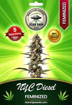 New York City Diesel Strain Feminized Marijuana Seeds