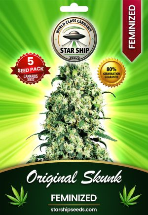 Original Skunk Feminized Marijuana Seeds
