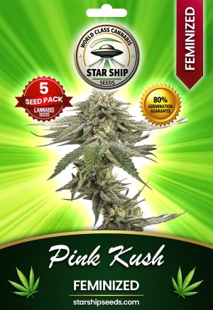 Pink Kush Feminized Marijuana Seeds