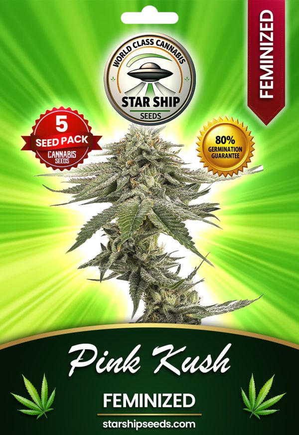 Pink Kush Feminized Marijuana Seeds