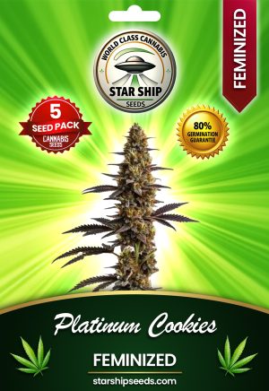 Platinum Cookies Feminized Marijuana Seeds