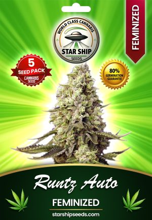 Runtz Autoflowering Marijuana Seeds