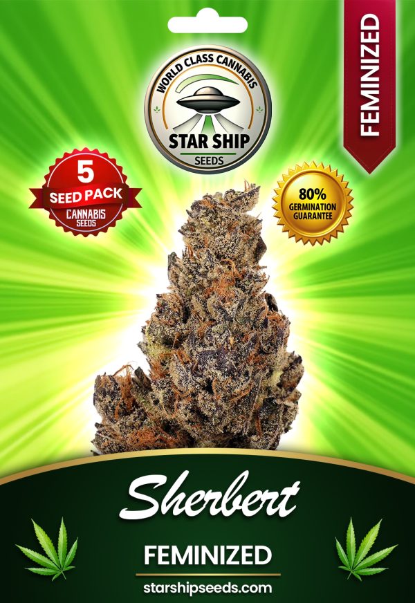 Sherbet Feminized Marijuana Seeds