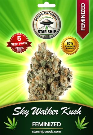 Skywalker Kush Strain Feminized Marijuana Seeds