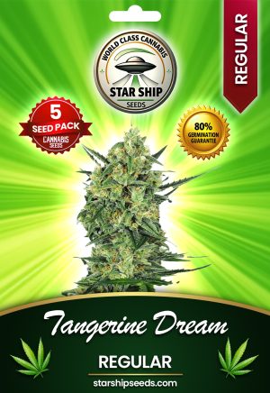 Tangerine Dream Strain Regular Marijuana Seeds