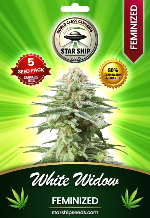 White Widow Strain Feminized Marijuana Seeds