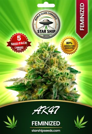 Ak47 Strain Feminized Marijuana Seeds