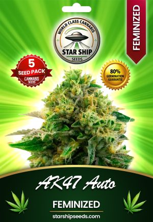 AK47 Autoflowering Marijuana Seeds