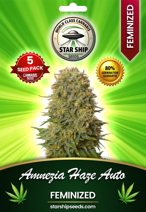 Amnesia Haze Autoflowering Marijuana Seeds