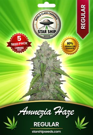 Amnesia Haze Strain Regular Marijuana Seeds