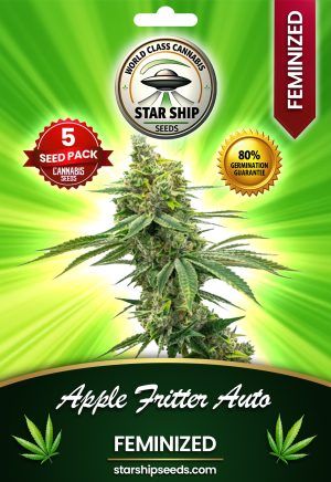 Apple Fritter Autoflowering Marijuana Seeds