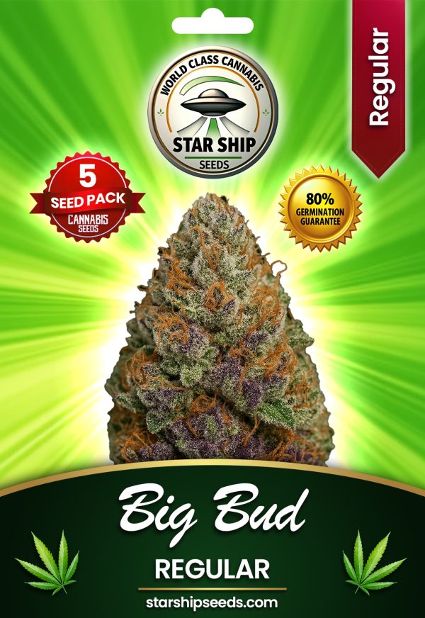 Big Bud Strain Regular Marijuana Seeds