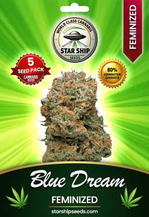 Blue Dream Strain Feminized Marijuana Seeds
