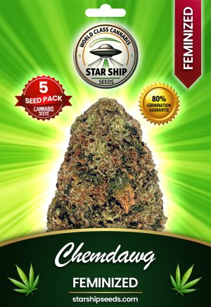 Chemdawg Strain Feminized Marijuana Seeds
