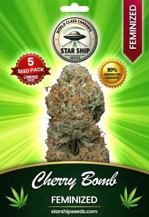 Cherry Bomb Feminized Marijuana Seeds