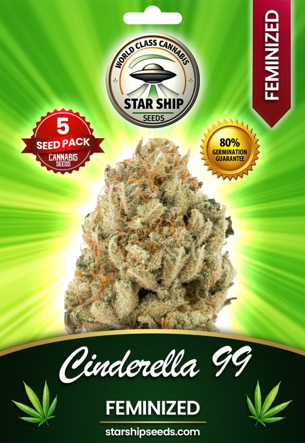Cinderella99 Feminized Marijuana Seeds