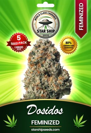 Do-Si-Dos  Strain Feminized Marijuana Seeds